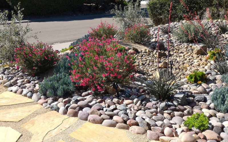 Drought Resistant Landscaping